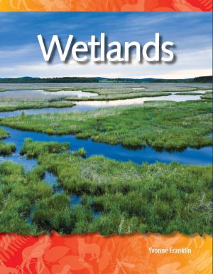Cover of the book Wetlands by James D. Anderson