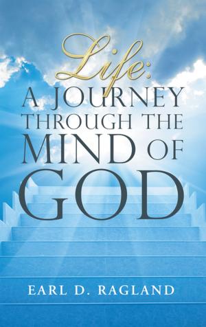 Cover of the book Life: a Journey Through the Mind of God by Jeffrey A. Hill