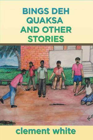 Cover of the book Bings Deh Quaksa and Other Stories by Richard M Beloin MD