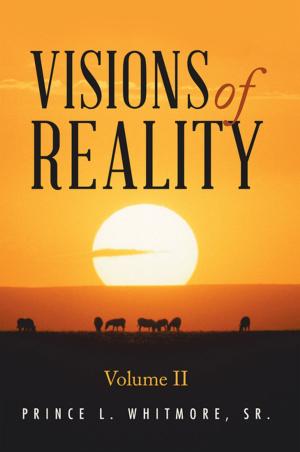 Cover of the book Visions of Reality by Lorena M. Wilson