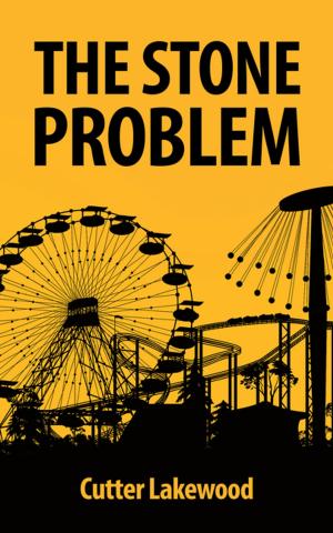 Cover of the book The Stone Problem by Faye Green
