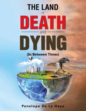Book cover of The Land of Death and Dying