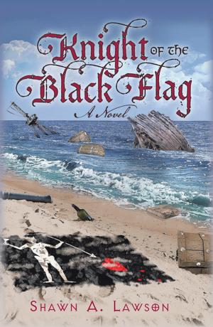 Cover of the book Knight of the Black Flag by RANDALL BAKER