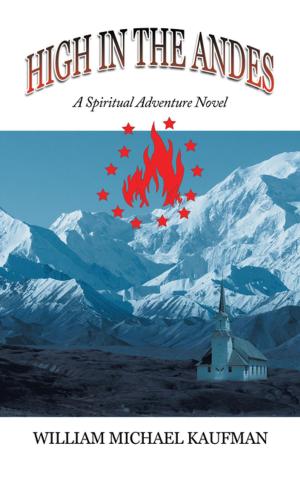Cover of the book High in the Andes by Richard John Kosciejew