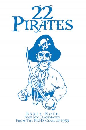 Book cover of 22 Pirates