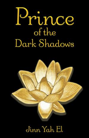 Cover of the book Prince of the Dark Shadows by Elizabeth Ann Guevara
