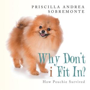 Cover of the book Why Don’T I Fit In? by Lydia Greico M.A.