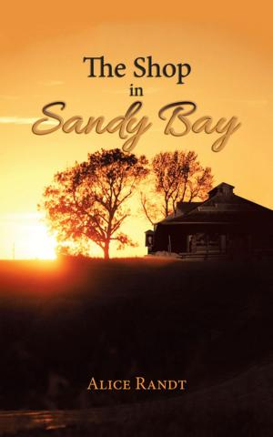 Cover of the book The Shop in Sandy Bay by Jones Rivera, Monique E.M.