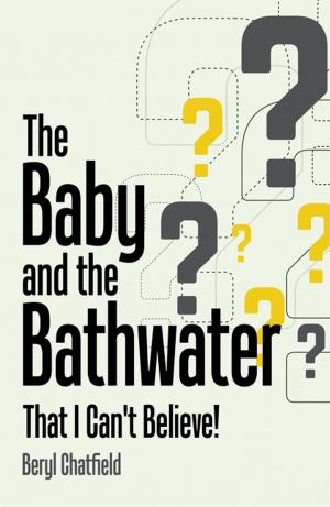 Cover of the book The Baby and the Bathwater by Santiago Camarena