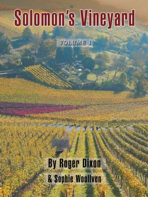 Cover of the book Solomon’S Vineyard by Kevin Fuss