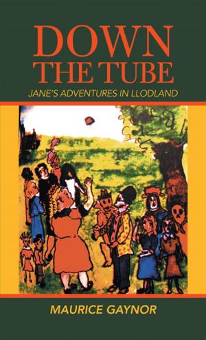 Cover of the book Down the Tube by Brendon K. Colvert.
