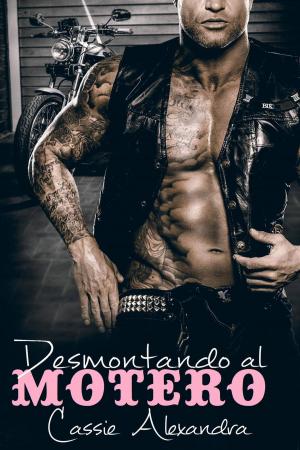 Cover of the book Desmontando al motero by C. Marie Bowen