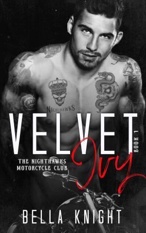 Cover of the book Velvet Ivy: A Motorcycle Bad Boy Romance (The Nighthawks MC Book 1) by L.M. Carr