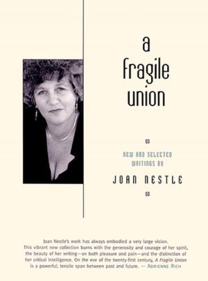 Book cover of A Fragile Union