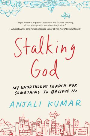 Cover of the book Stalking God by Luigi Zingales