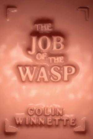 Cover of the book The Job of the Wasp by Paul Griner