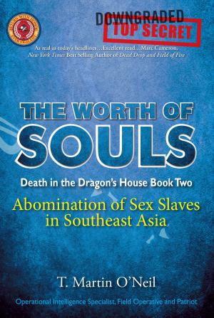 Cover of the book The Worth of Souls by Warren Troy