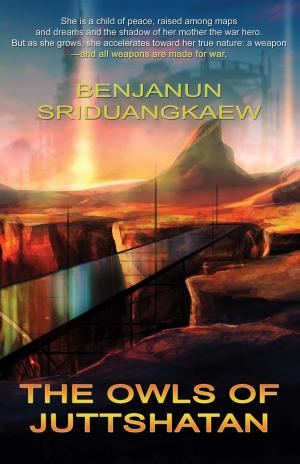 Cover of the book The Owls of Juttshatan by Rich Horton, Sean Wallace