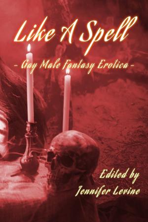 Cover of the book Like a Spell 2: Gay Male Fantasy Erotica by Sassafras Lowrey, Mollena Williams, Lee Harrington, Karen Taylor, Cynthia Hamilton