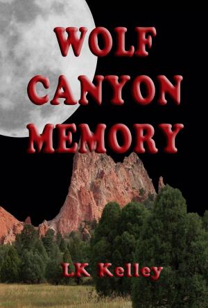 Book cover of Wolf Canyon Memory