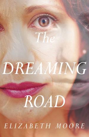 Cover of the book The Dreaming Road by Rick Conlow, Doug Watsabaugh