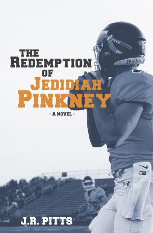 Cover of the book The Redemption of Jedidiah Pinkney by Michael P. V. Barrett
