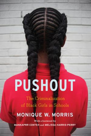 Cover of the book Pushout by Salvatore Vascellaro