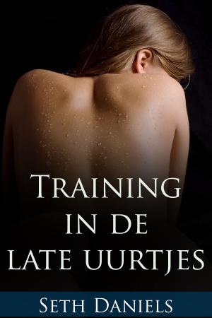 Cover of the book Training in de late uurtjes by Seth Daniels