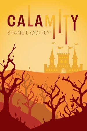 Cover of the book Calamity by Bill Mathis