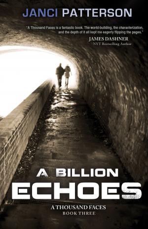 Cover of the book A Billion Echoes by Ian McDonald