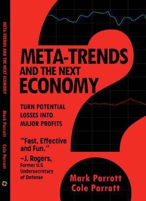 Cover of the book Meta-Trends and the Next Economy by Barry Moltz, Rieva Lesonsky