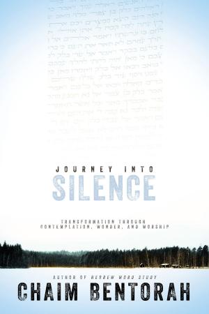 Cover of Journey into Silence