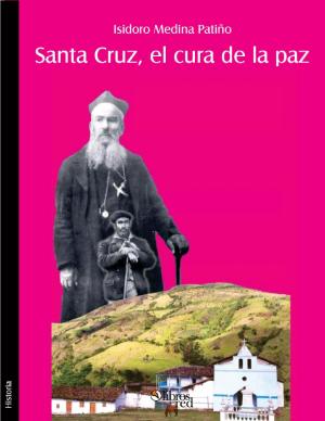 Cover of the book Santa Cruz, el cura de la paz by Julien l'Apostat