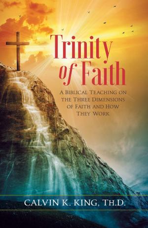 Cover of the book Trinity of Faith by Martin Manser