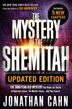 Cover of the book The Mystery of the Shemitah Updated Edition by Sunday Adelaja