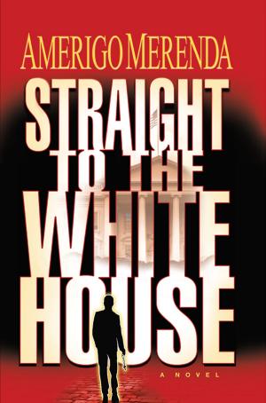 Cover of the book Straight to the White House by Laura Belg-Adams, C.M.