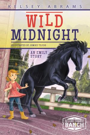Book cover of Wild Midnight
