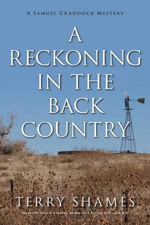 Cover of the book A Reckoning in the Back Country by Carolyn Hart