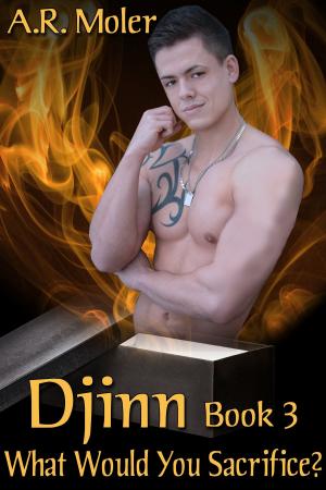 Cover of the book Djinn 3: What Would You Sacrifice? by T.K. Riggins
