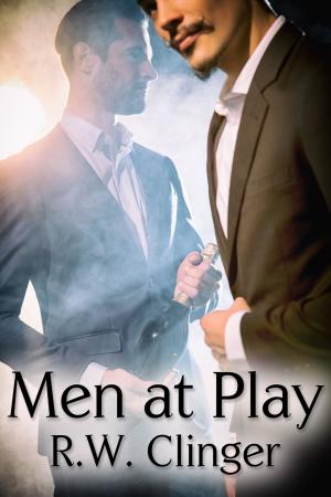 Cover of the book Men at Play by Sarah Hadley Brook
