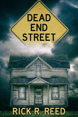 Cover of the book Dead End Street by J.M. Snyder