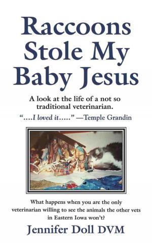 Book cover of Raccoons Stole My Baby Jesus