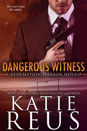 Cover of the book Dangerous Witness by Paula V. Hardin