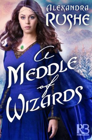 Cover of the book A Meddle of Wizards by Ellen Hawley