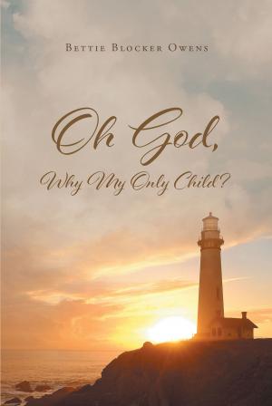 Cover of the book Oh God, Why My Only Child by Robert N. McGrath, Ph.D.