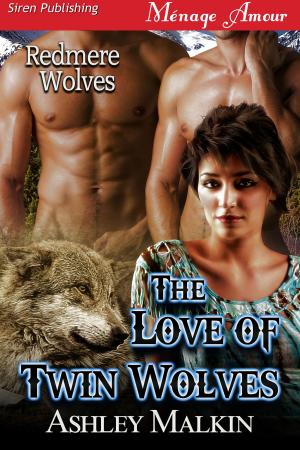Cover of the book The Love of Twin Wolves by Britt Kenley
