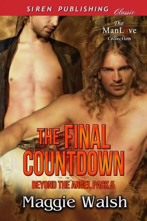 Cover of the book The Final Countdown by Maggie Walsh