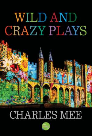 Cover of the book Wild and Crazy Plays by Tony Perrottet