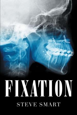 Book cover of Fixation