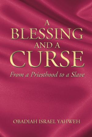 Cover of the book A Blessing and a Curse by Thomas Williamson